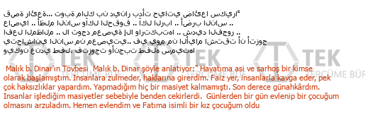Arapça - Türkçe çeviri - 316