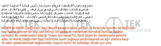 Arapça - Türkçe çeviri - 272