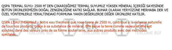 Fransızca - Türkçe çeviri - 4