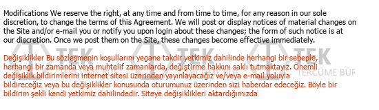 İngilizce - Türkçe çeviri - 115