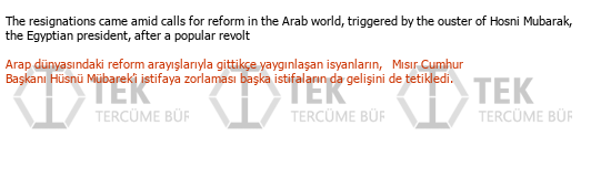 İngilizce - Türkçe çeviri - 11