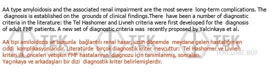 İngilizce - Türkçe çeviri - 132