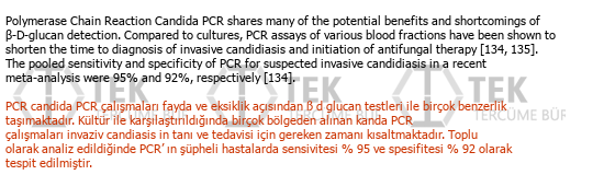 İngilizce - Türkçe çeviri - 226