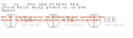 Korece - Türkçe çeviri - 299