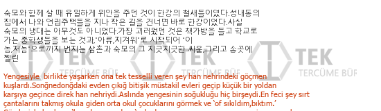 Korece - Türkçe çeviri - 300