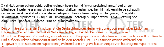 Türkçe - Almanca çeviri - 203