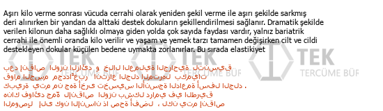 Türkçe - Arapça çeviri - 235