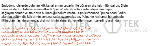 Türkçe - Arapça çeviri - 239