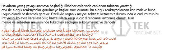 Türkçe - Arapça çeviri - 278