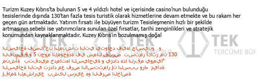 Türkçe - Arapça çeviri - 243