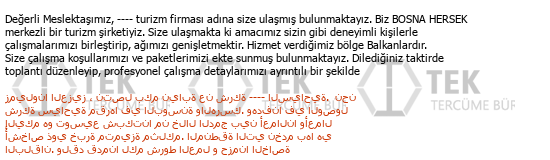 Türkçe - Arapça çeviri - 295