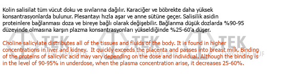 Türkçe - İngilizce çeviri - 50