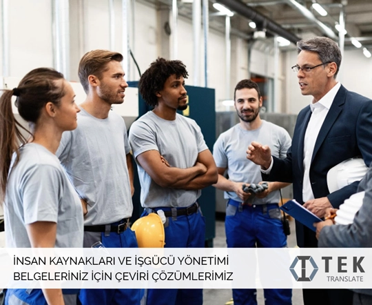 İnsan kaynakları ve işgücü yönetimi belgelerinin çevirileri